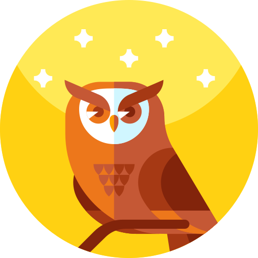 Owl Image